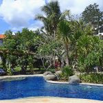 Bintang Flores Hotel - Pool