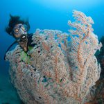 Gangga Divers - Simon's Reef, Gili Air