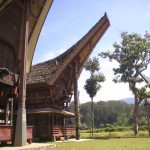 Toraja - tor houses with horns
