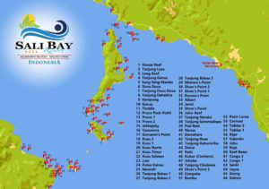 Sali Bay Resort - Tauchplätze